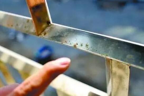 生锈不锈钢管 生锈不锈钢管